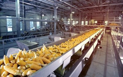 Tecnología y sostenibilidad en la industria alimentaria